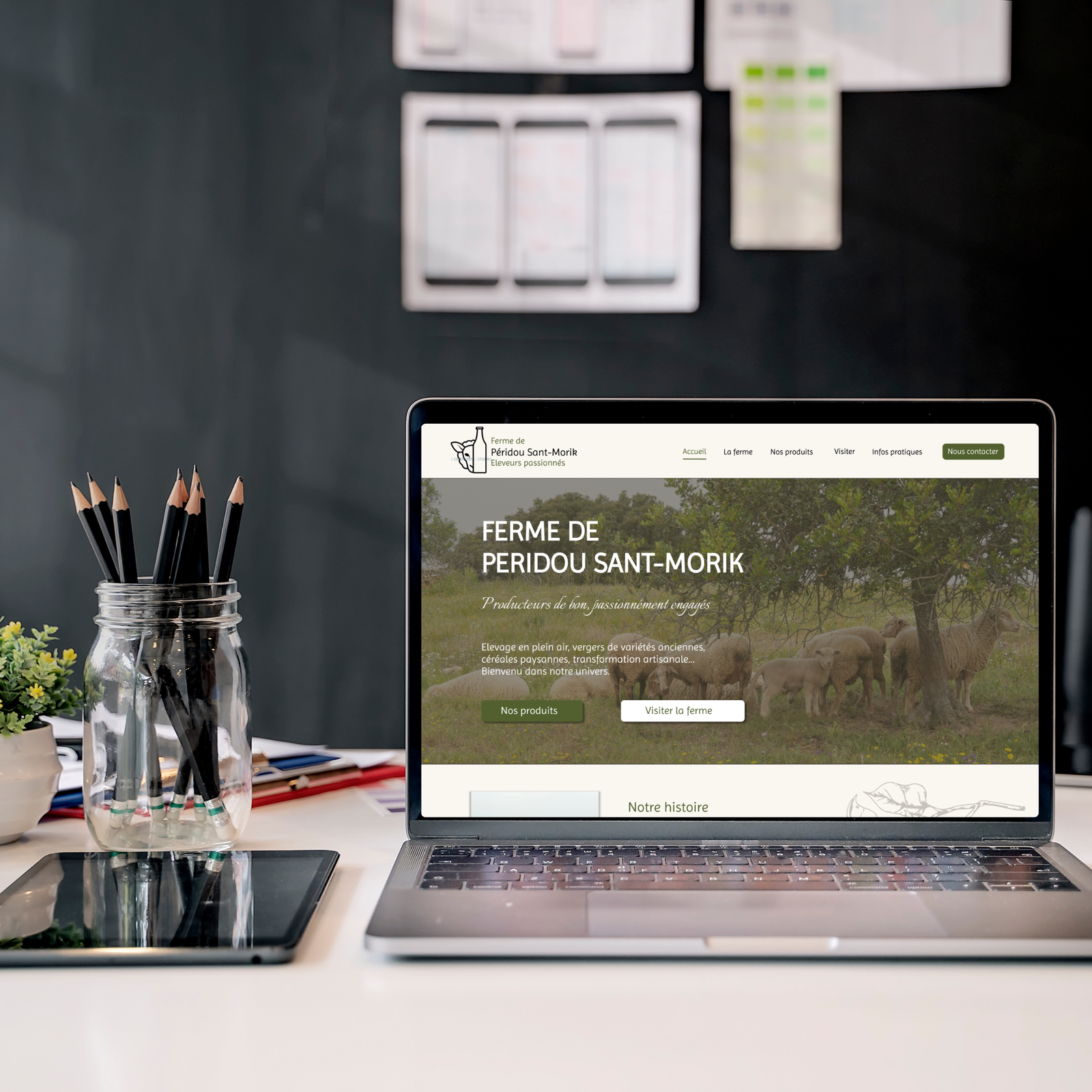 Site fictif de ferme elevage mouton
